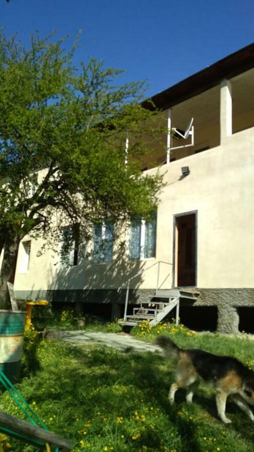 Guest House Katia Mestia Exteriér fotografie